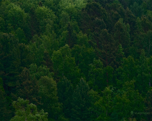 302749 (a): :1280x1024